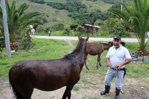 Tobìas tiene mucho aprecio por los caballos, cuenta que cuando estaba lejos de su tierra, se soñaba montando en caballo y recorriendo la finca