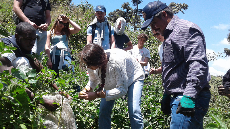 Pedro Briceño explicándole a estudiantes de la Università di Scienze Gastronomiche de Italia, que desde el año pasado visitan los núcleos de conservación de semillas nativas.